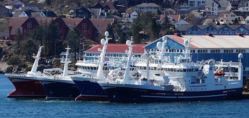 Read more about the article Norsk trawlproducent etablerer sig på Skagen Havn