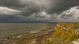 DN udmelding: CO2 Bombe i Limfjorden foto: Jørgen larsen Wikipedia