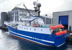 Også fryselineskibet Eivind har leveret en betydelig landing i Tórshavn. Skibet kom ind med 258 tons frossen fisk, som er fisket ved Island foto: FS Fiskur.fo