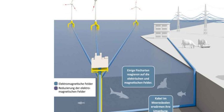 Det er kendt fra både fysikken og fra det elektrotekniske, at der dannes magnetfelter omkring hvert kabel, hvilket ikke kan forhindres. foto: Bundesamt Strahlenschutz