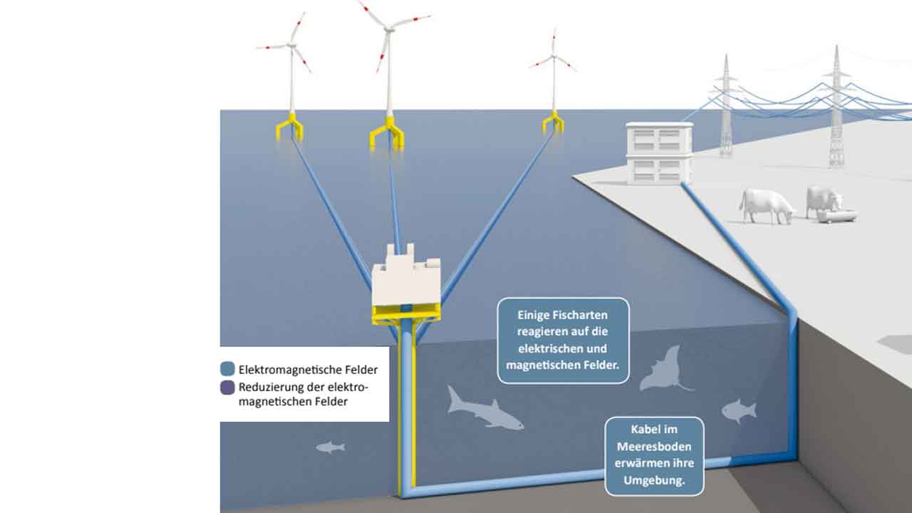 Read more about the article Tysk Reaktor-tekniker udtaler sig om EMF’s påvirkninger