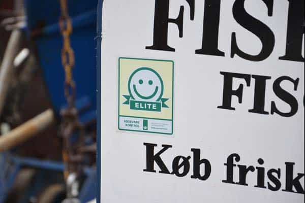 Read more about the article Elite smiley til On-line fiskeren fra Svaneke.