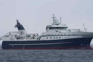 Efter en ti uger lang tur i Barentshavet har den færøske rejetrawler »Emerald« landet en solid rejefangst i Nordnorge. Efter besætningsskift og bunkring er skibet nu returneret til fiskepladserne. foto Kiran J