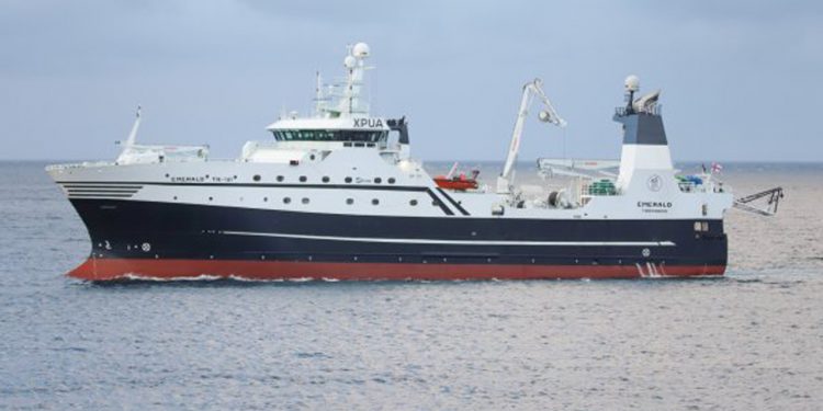 Den 87 meter lange rejetrawler **Emerald**, der blev bygget sidste år, lagde til kaj i Tromsø, lidt over midnat natten til søndag den 21. april, med en fangst af rejer. foto: Kiran J