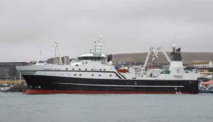 En færøske trawler har netop afsluttet årets kvoter og lander både konsum og industriprodukter – 450 tons torskefilet, 100 tons rødfisk samt fiskemel og fiskeolie. Det er Emerald - foto: Kiran J