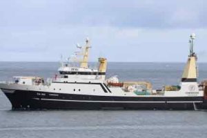 Det færøske rejefiskeri i de arktiske egne kører i øjeblikket for fulde sejl. Det må man sande efter, at trawleren **Enniberg** i denne uge lagde til kaj i den norske havn Kårvikhamn med lasten fyldt til randen. Hele 600 tons rejer af ›pandalus borealis‹ kunne besætningen notere sig efter et langt, men yderst succesfuldt togt. foto: Kiran J