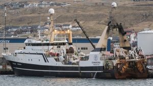 Brestir fiskede 100 tons for filet-trawleren Enniberg foto: Sverri Egholm