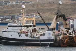 Brestir fiskede 100 tons for filet-trawleren Enniberg foto: Sverri Egholm