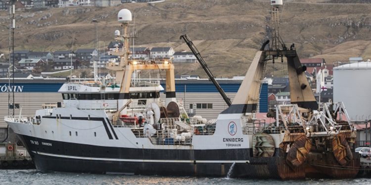 Brestir fiskede 100 tons for filet-trawleren Enniberg foto: Sverri Egholm