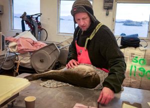 Det nye »kludetæppe« af gydeområder betyder, at gydekortene nu skal opdateres. Det er viden, som får direkte betydning for, hvordan man beskytter bestandene og forvalter det biologiske mangfoldighed langs kysten. - Esben Moland Olsen i Science 2023 - HI