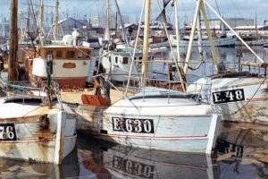 Esbjerg var engang Nordeuropas største fiskerihavn  arkivfoto fra Fiskeri gennem tiden - Hans Joachim Höhrmann