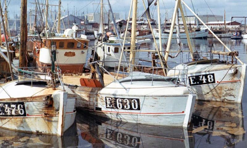 Read more about the article Esbjerg var engang Nordeuropas største fiskerihavn