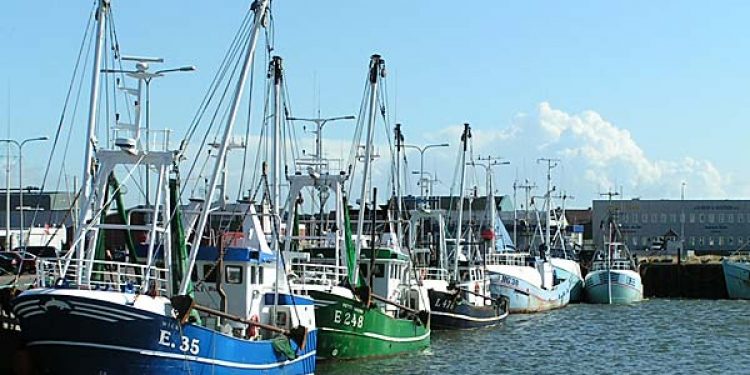 Billede fra Esbjerg Havn - Foto: Ole Skjold