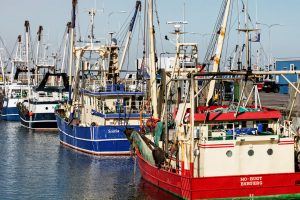 Nyt projekt skal skabe moderne og bæredygtig fiskerihavn. foto: Esbjerg Havn