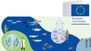 EU Kommissionen udgiver deres planer for vision og bæredygtig produktion af akvakultur-produkter foto: FiskerForum.dk