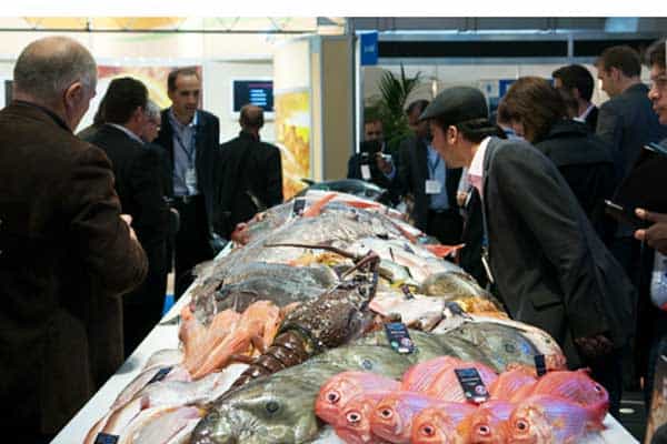 Read more about the article Den skotske fiskeribranche har store forventninger til messen ESE i Brussels i næste uge