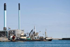 Fiskemelsfabrik bliver fondsejet  Foto: FF Skagen