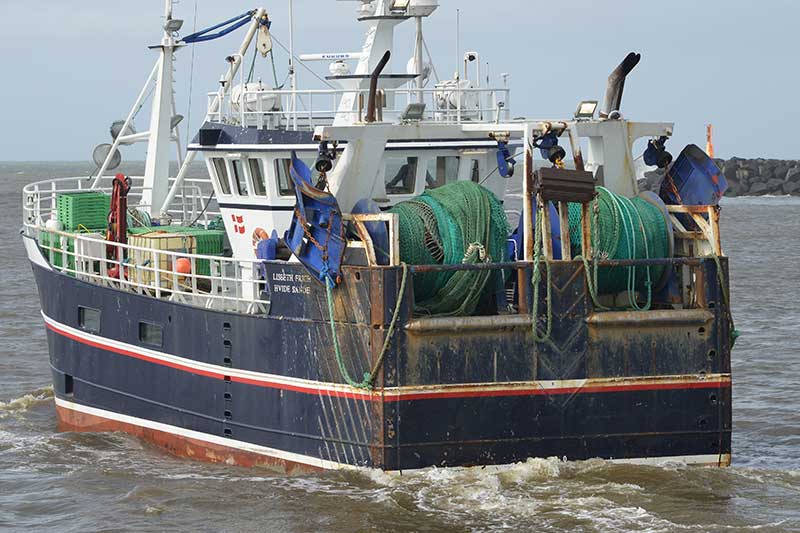 Read more about the article Danmarks Fiskeriforening kæmper stadig for Brexit-kompensation