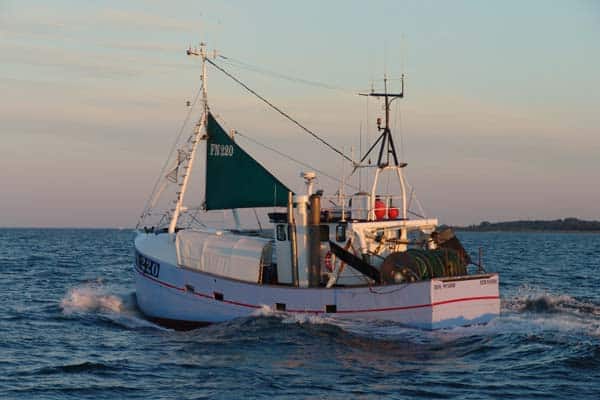 Read more about the article Driv-is slog to huller under vandlinjen på trækutter