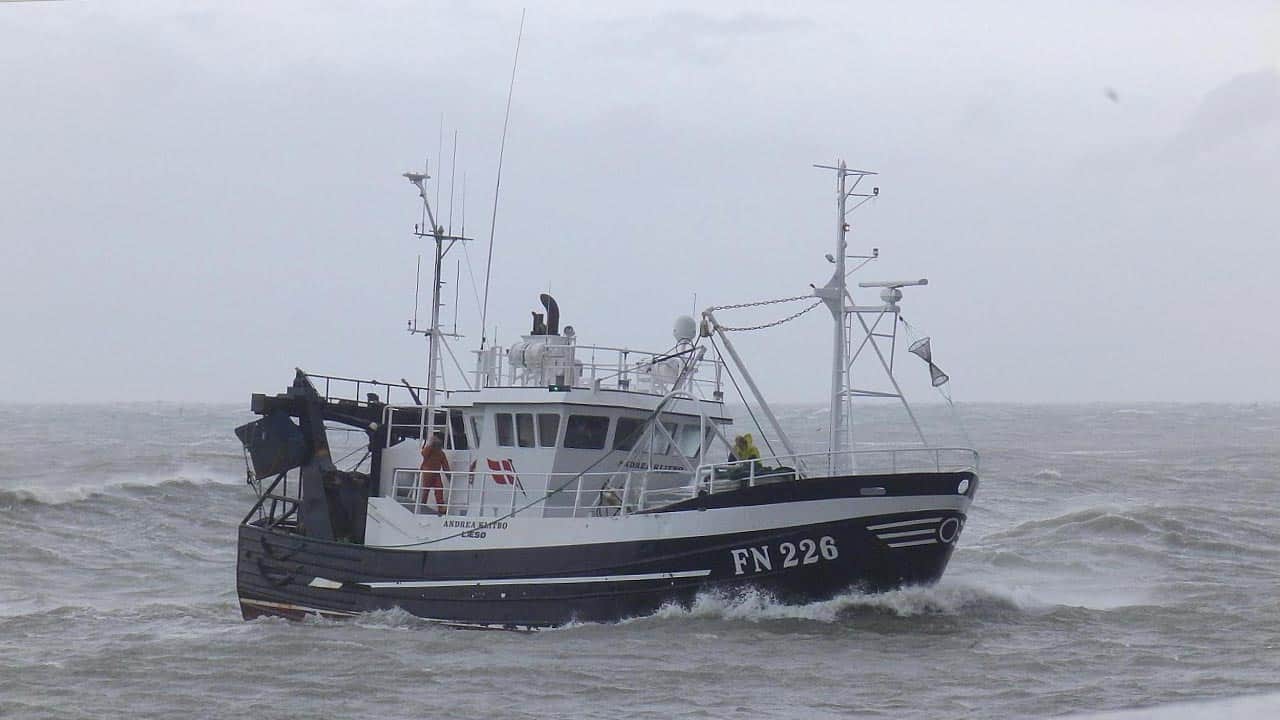 Read more about the article Læsø-fisker ønsker Nordjyske politikerne ind i kampen for fiskeriet
