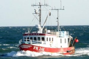 Statsovervåget fiskeri er efter nordjysk fiskers mening - torskedumt