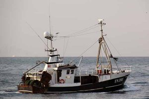 Fiskeristyrelsen lukker øjnene med urealistiske redskabskrav i Kattegat - FN 261 Stjerne- H.Hansen