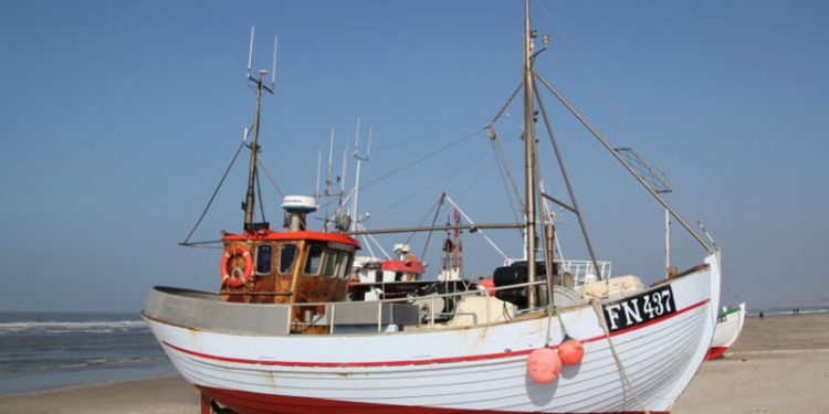 Der er hårdt brug for yngre fiskere i Løkken  Foto: FN 437 »Bihama« - HHansen