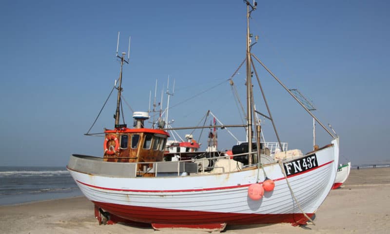 Read more about the article Der er hårdt brug for yngre fiskere i Løkken