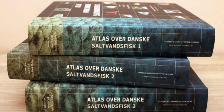 For første gang nogensinde findes nu et samlet, detaljeret overblik over alle danske saltvandsfisk. Havet omkring Danmark er i evig forandring, og Fiskeatlasset bliver afgørende for at opdage ændringer i vores fiskearter fremover. foto: KU Naturhistorisk Museum