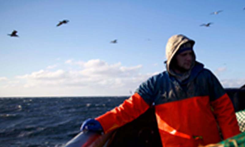 Read more about the article Voksenlærlinge ind i dansk fiskeri