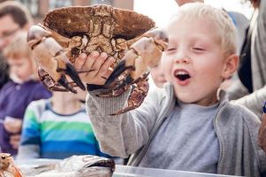 Fiskeriskolen med på Fiskens Dag.  Foto: FiskeriSkolen Thyborøn