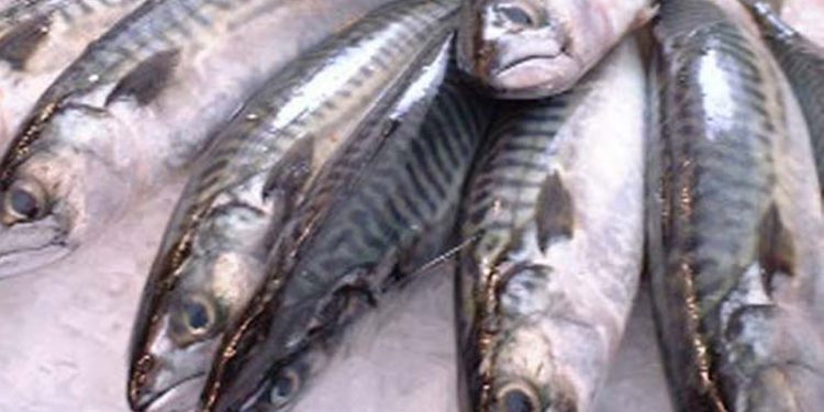 Færøerne laver fiskeriaftaler med Norge