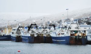Hollændere er storaktionærer i færøsk fiskeri