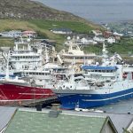 Spredt rundt om på de færøske øer, modtager fiskefabrikkerne som Pelagos og Havsbrún i Fuglefjord samt Snarfrost i Miðvágur, Vestmanna Seafood på Vestmanna samt Varðin Pelagic på Tvøroyri, pæne fangster af makrel. foto: Kiran J