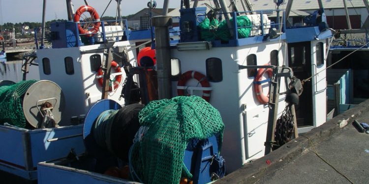 Norske kvinder fravælger i stigende grad fiskeriet