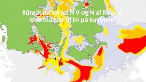 Lokale fiskere afslører liv i iltsvindsramte farvande