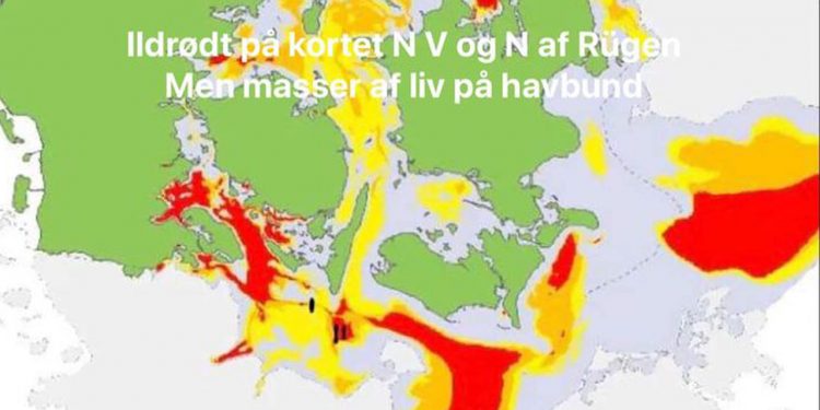 Lokale fiskere afslører liv i iltsvindsramte farvande