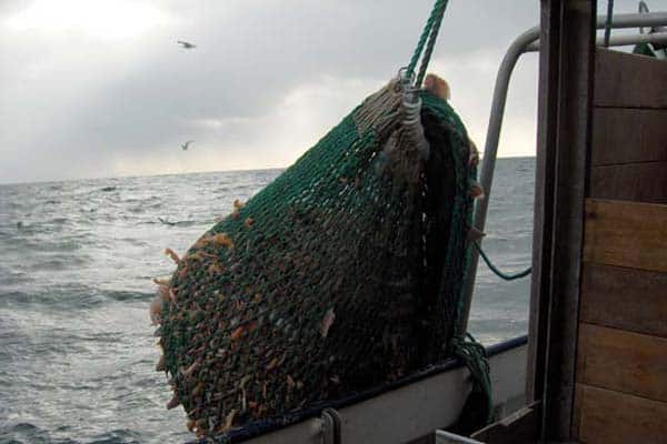 Read more about the article Flere fælles strafferetslige regler på vej i EU. Det vil også kunne omfatte danske fiskere.
