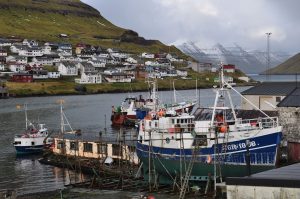 Landingerne fra trawlerne til Klaksvík har overvejende været havtaske, der har opnået afregninger på omkring 18,00 pr. kilo i sidste uge.