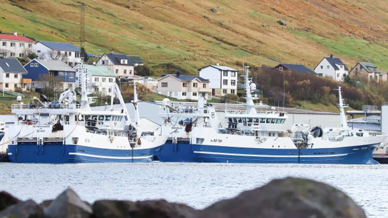 Read more about the article Færøerne: Havgalt og blåhvilling landet til Havsbrún