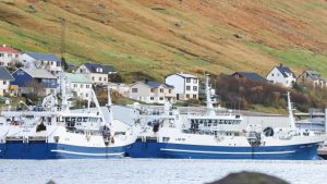 Det irske trawlerpar Father Mckee og Brendelen landede i sidste uge en last på 1.700 tons makrel til Pelagos. foto: Kiran J