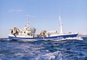 Read more about the article Stor omsætningsfremgang for en af Islands største fiskeri virksomhed
