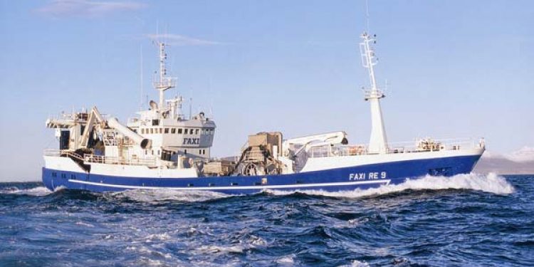 Islandske fiskere rapporterer om mindre makreller end sidste år.  Arkivfoto: FaxiRE - HB Grandi
