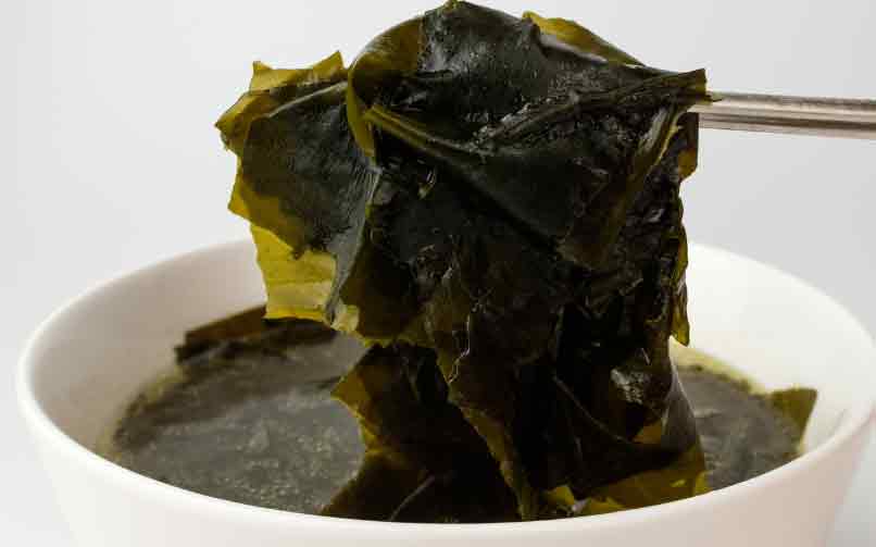 Read more about the article Fermentering kan blive nøglen til fremtidens tangprodukter