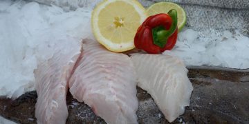 Fersk fisk i Salling Groups kædeforretninger