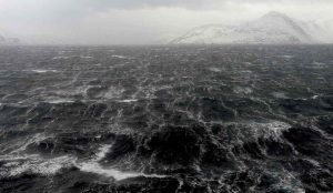 Øget tilførsel af ferskvand gør hrtigere miljøet i havet surere - Fotograf: Kjartan Mæstad / Havforskningsinstituttet