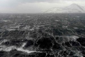 Øget tilførsel af ferskvand gør hrtigere miljøet i havet surere - Fotograf: Kjartan Mæstad / Havforskningsinstituttet
