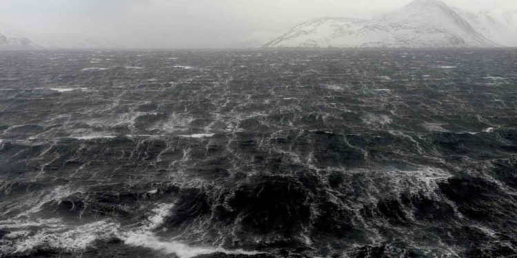 Øget tilførsel af ferskvand gør hrtigere miljøet i havet surere - Fotograf: Kjartan Mæstad / Havforskningsinstituttet