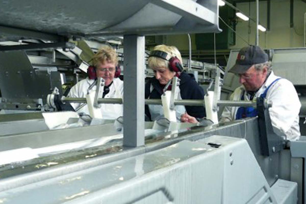 Read more about the article Filetfabrikken i Gilleleje er truet af lukning