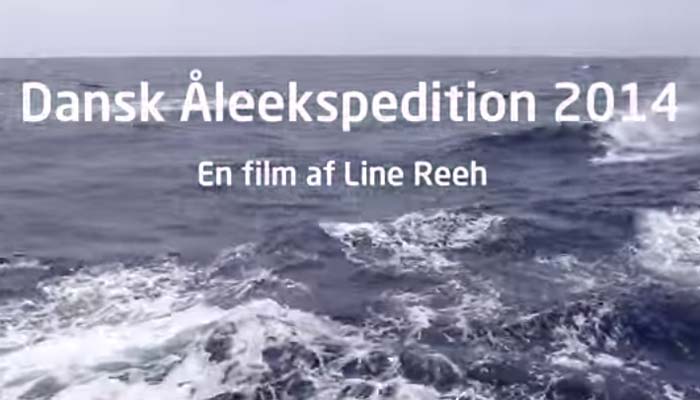 Read more about the article Video fra Dansk Åleekspedition 2014